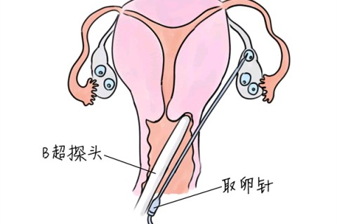 http://jinhua.huochezhan.net/post/205.html|金华供卵助孕