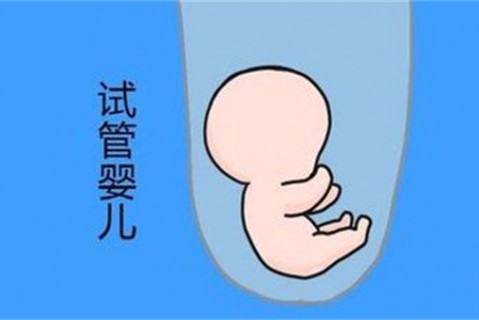 培养金华捐卵宝宝艺术细胞的小技巧