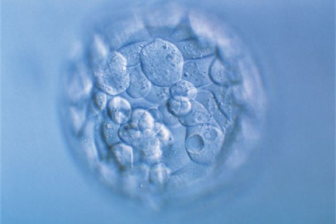 http://jinhua.huochezhan.net/post/200.html|金华新闻中心
